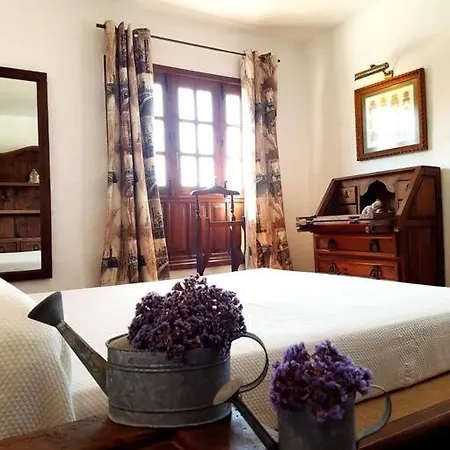 Lavanda * コラレホ